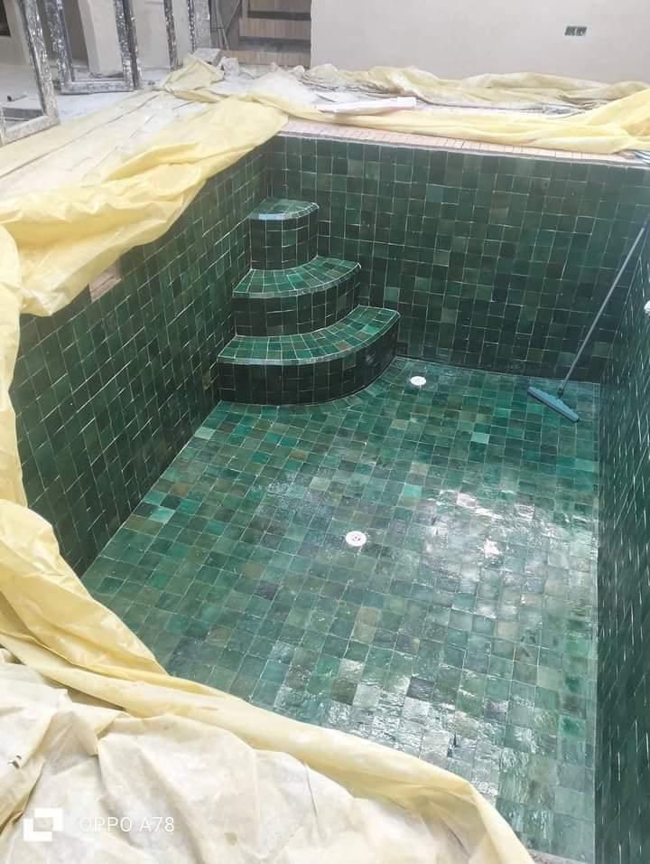 Green zellige plunge pool with rounded steps