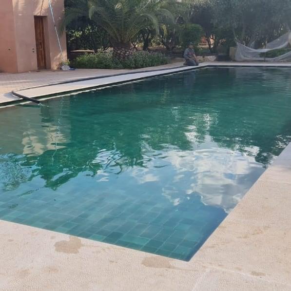 Completed villa swimming pool with garden